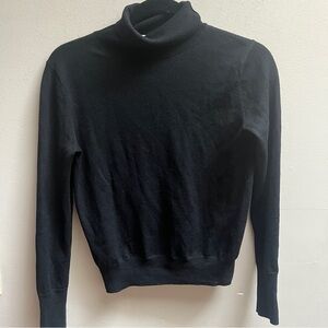 Wilfred Aritzia 100% Merino Wool turtleneck sweater Sz XS